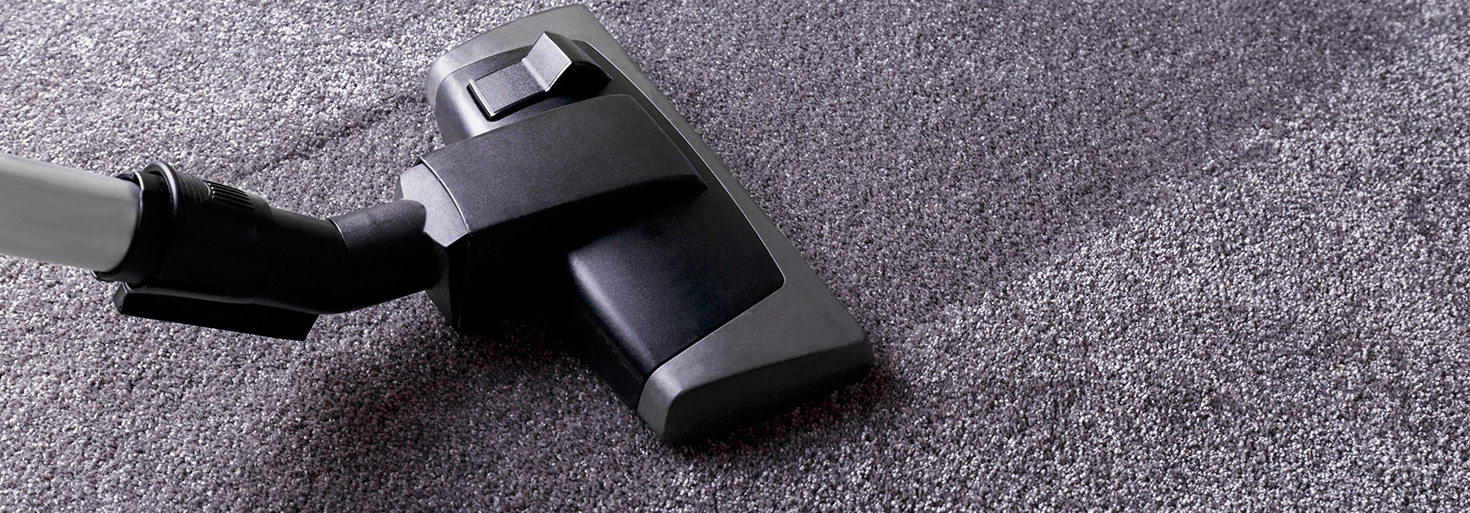 carpet cleaning Hawthorn professional service