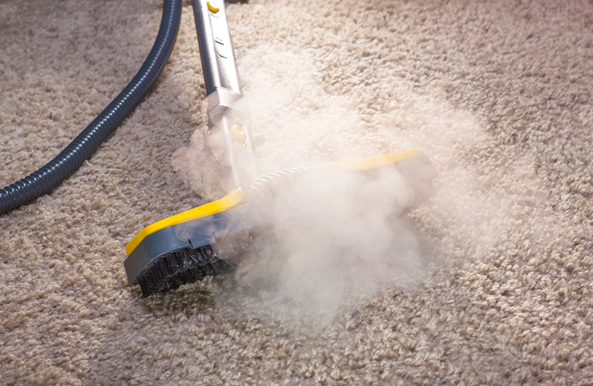 carpet steam cleaning Hawthorn deep cleaning machine