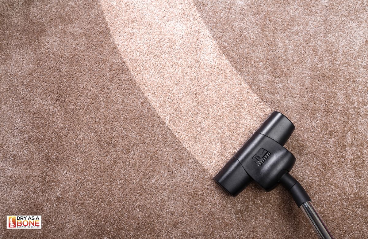 carpet steam cleaning Richmond deep cleaning machine
