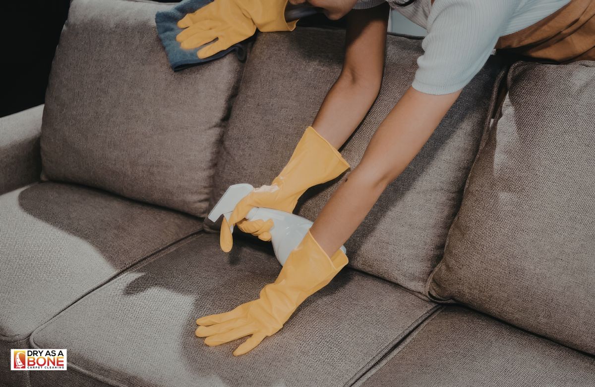 upholstery and carpet cleaning Richmond home service