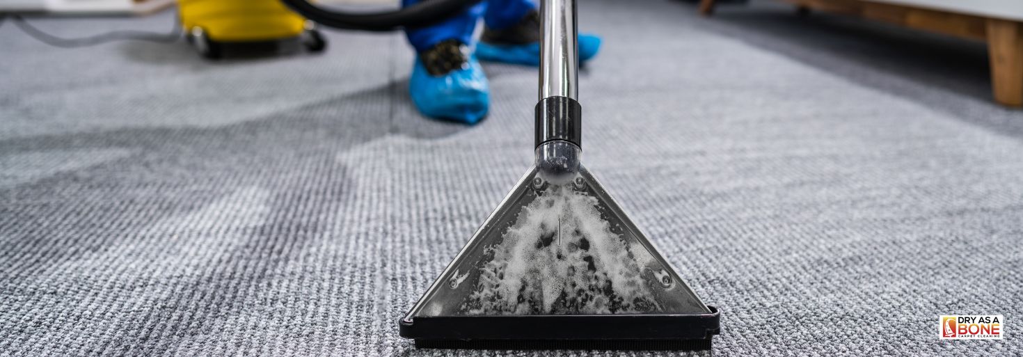 carpet cleaning Hawthorn professional service