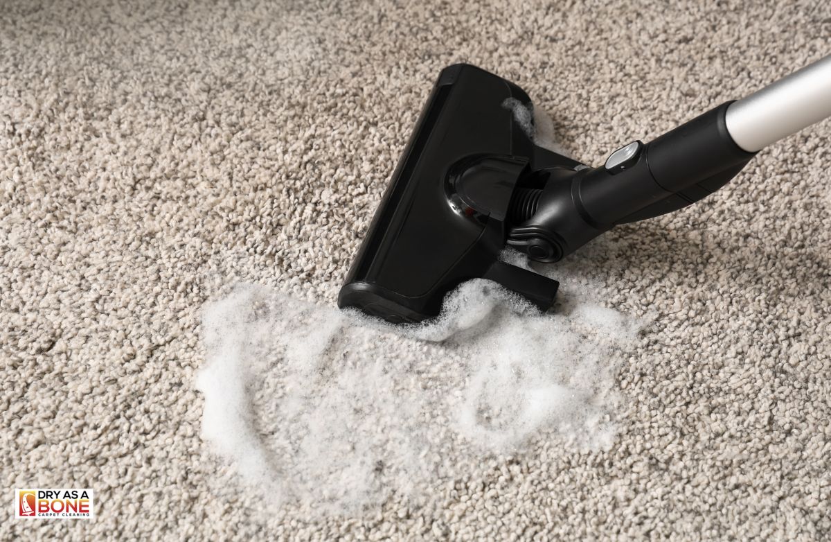 upholstery and carpet cleaning Richmond home service