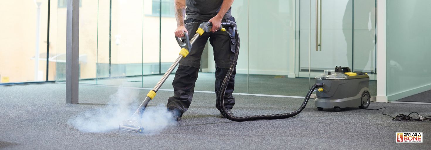 carpet cleaning Sunshine professional service