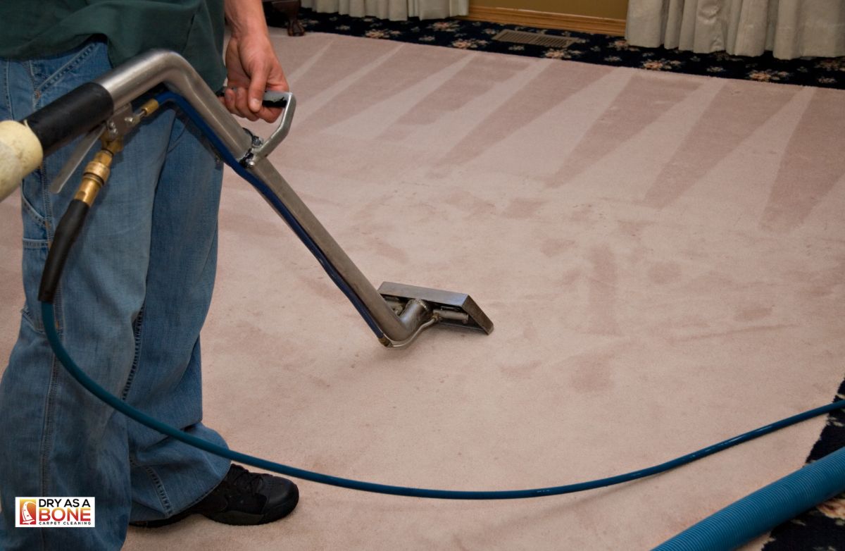 carpet steam cleaning Sunshine deep cleaning machine