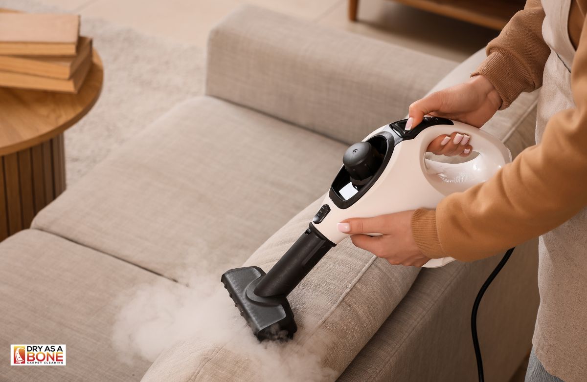 carpet stain removal Sunshine before after cleaning